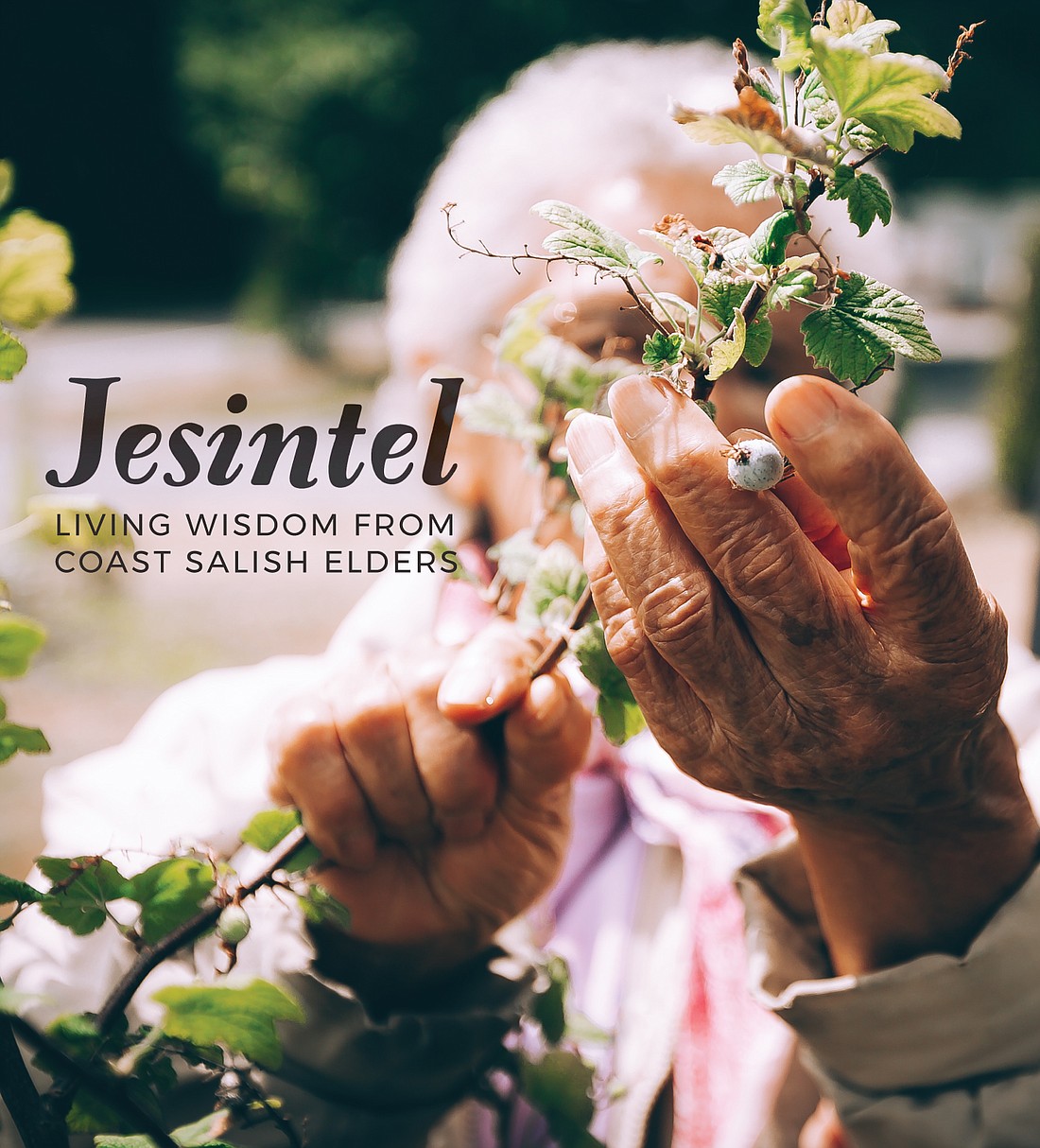 Jesintel book cover featuring a color photograph of an Elder picking berries, their hands and the berry branch in the foreground. 